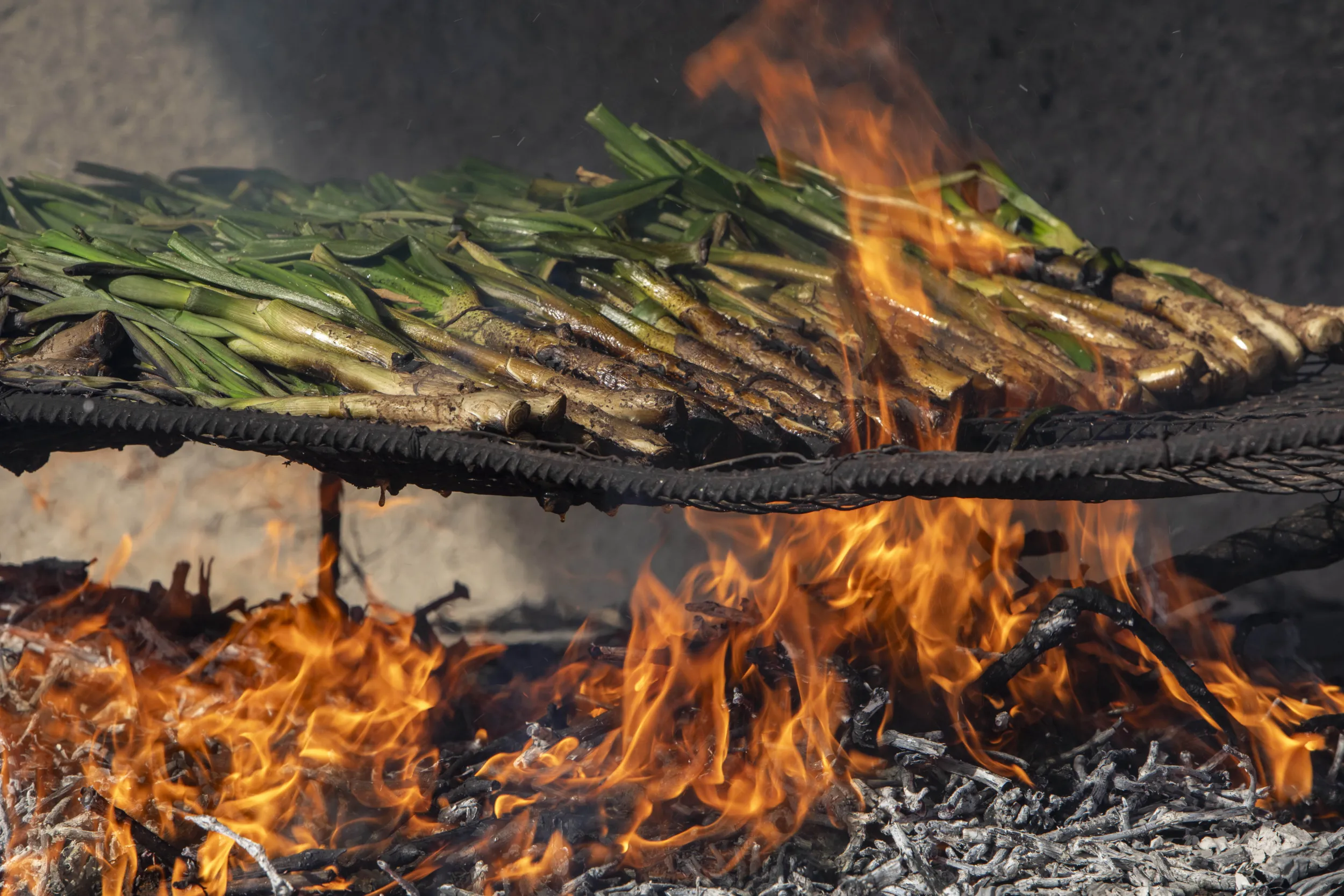 foto-calçots-fuego