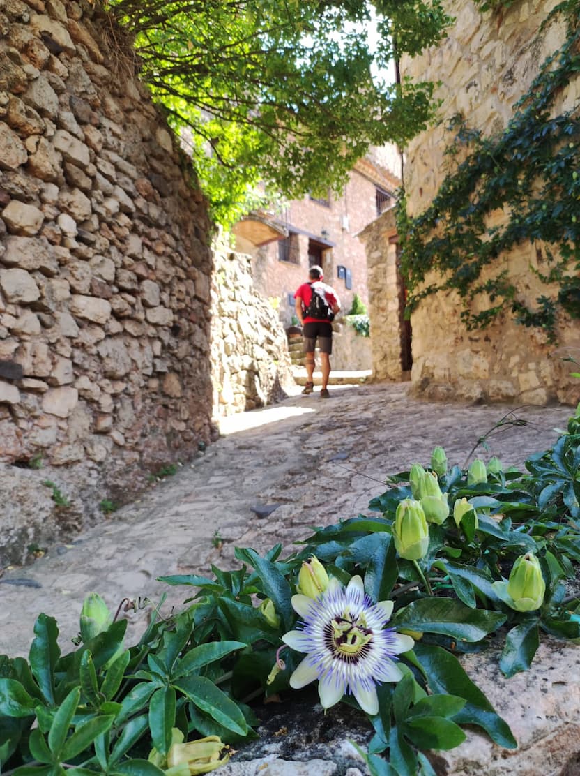 05 - EL CAMÍ DE LA FILIGRANA A FARENA