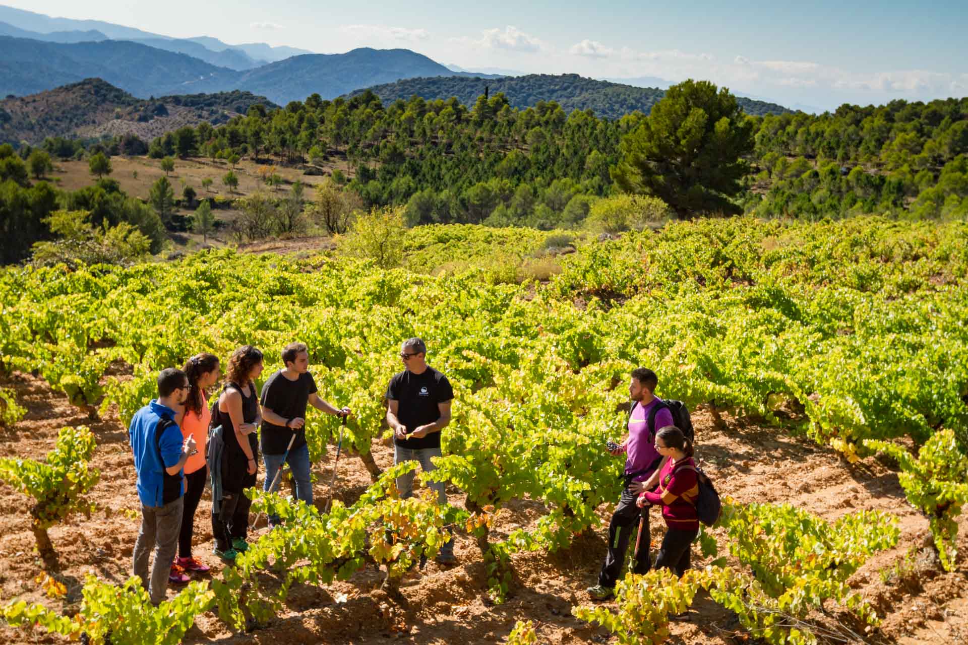 Entre còdols, de l'ermita al celler