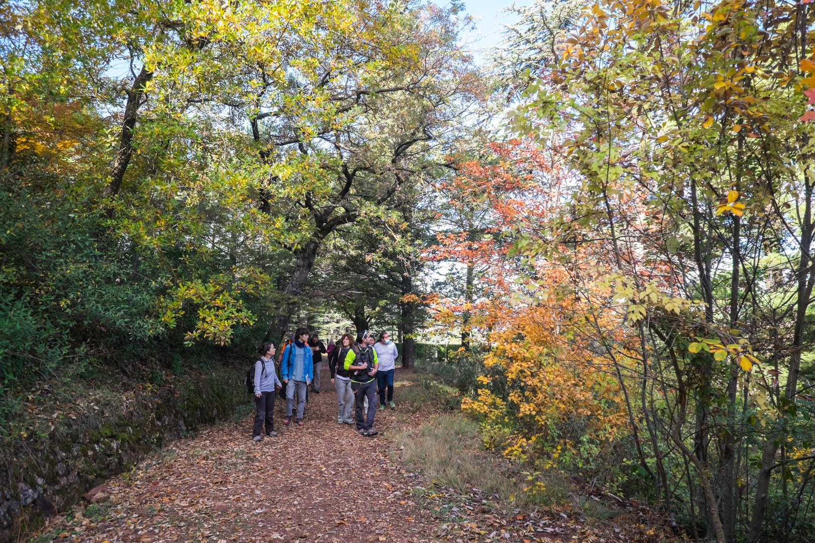 Rutes entorn Poblet_©Laia Diaz