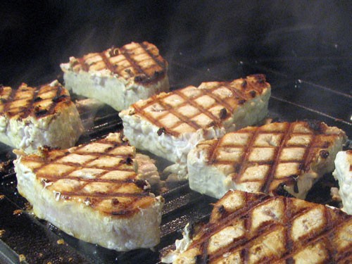 Jornades de la Tonyina