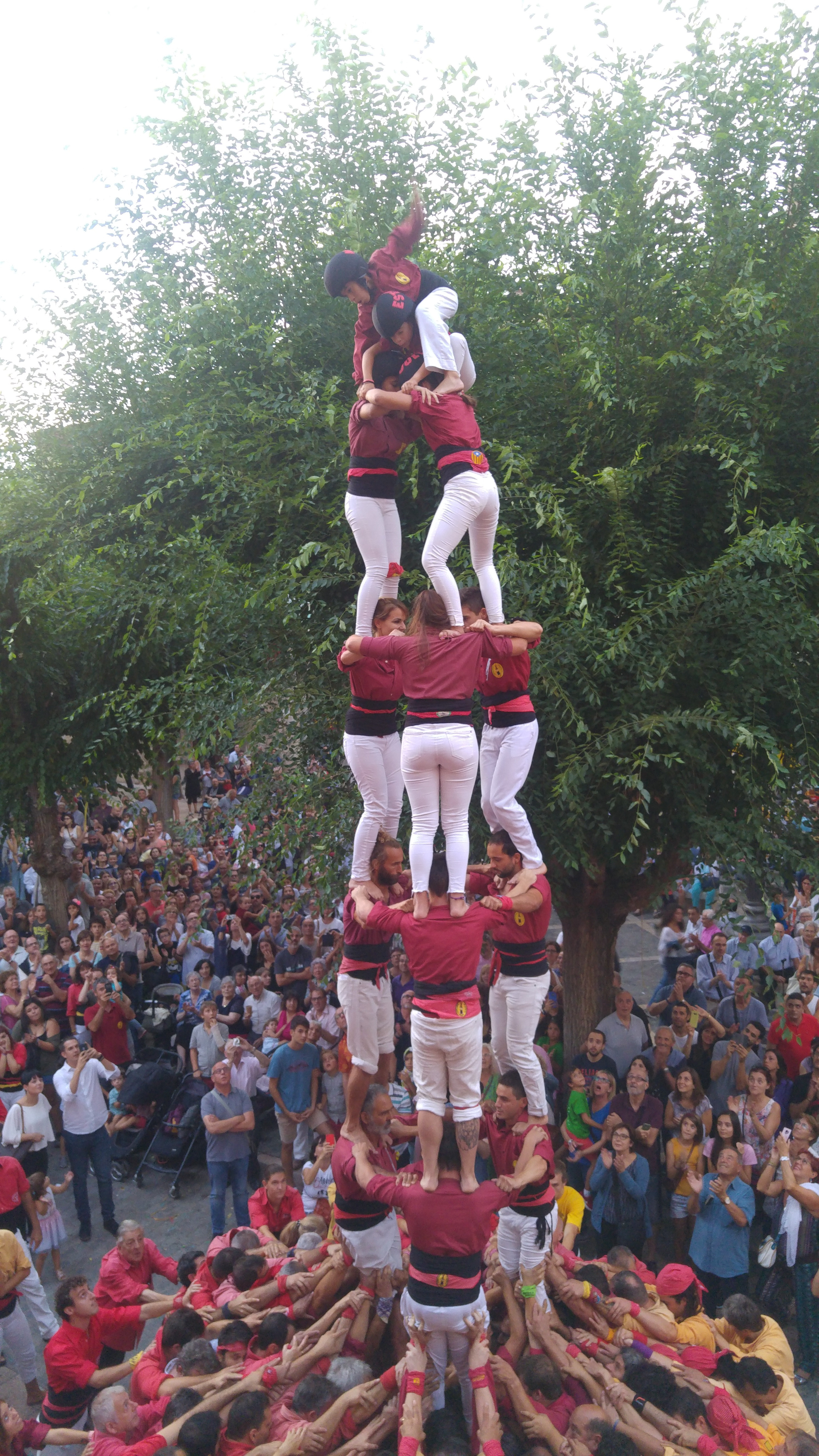 TORRAIRES DE MONTBLANC
