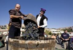 Fiesta de la vendimia a la antigua de Poboleda