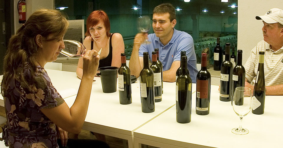 Cata de vino Cata de vino