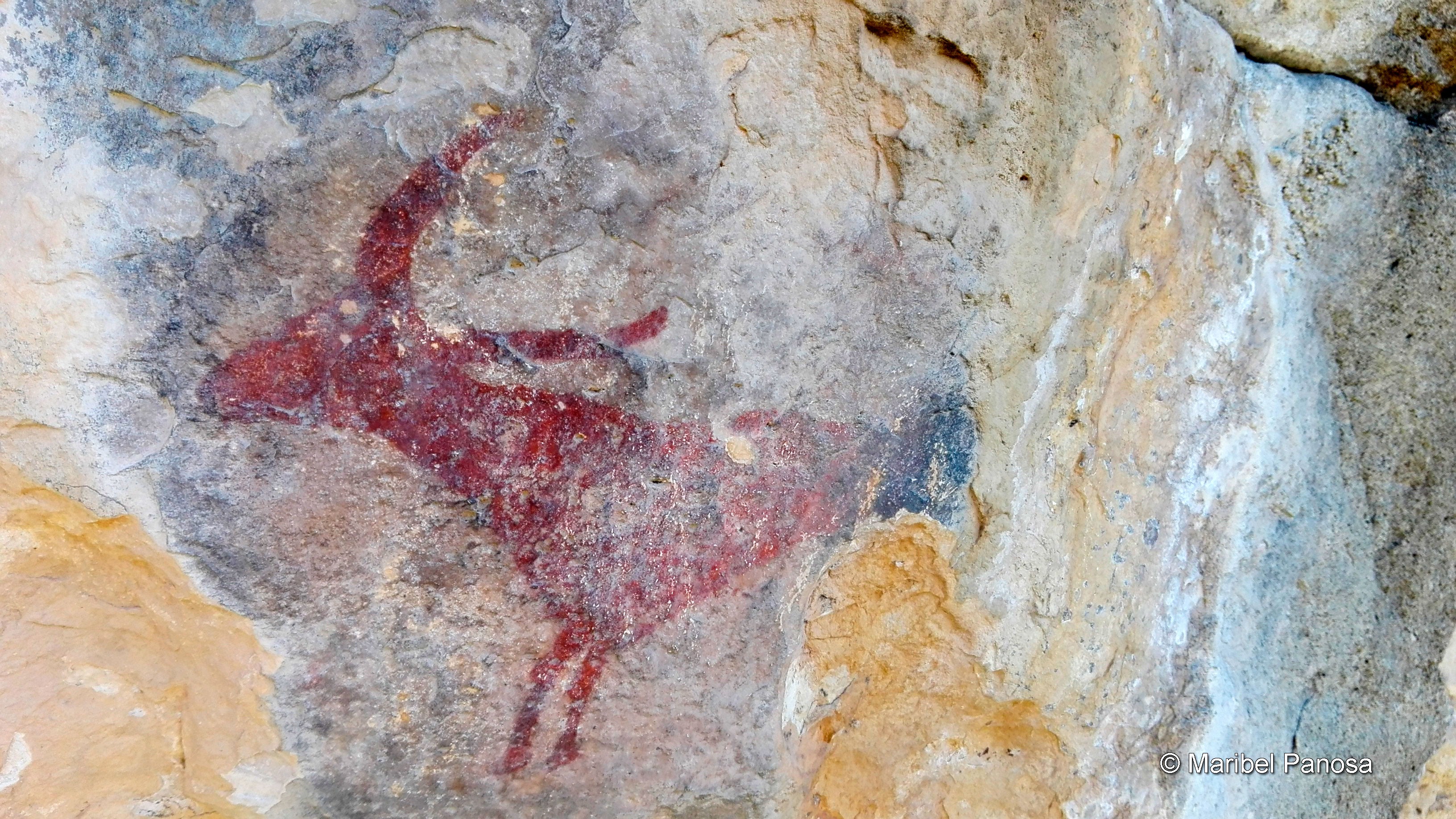 Pintures rupestres