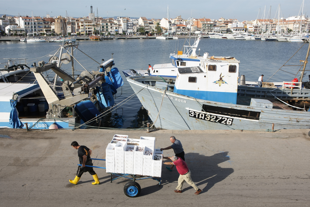Endinsa’t en la pesca a Cambrils