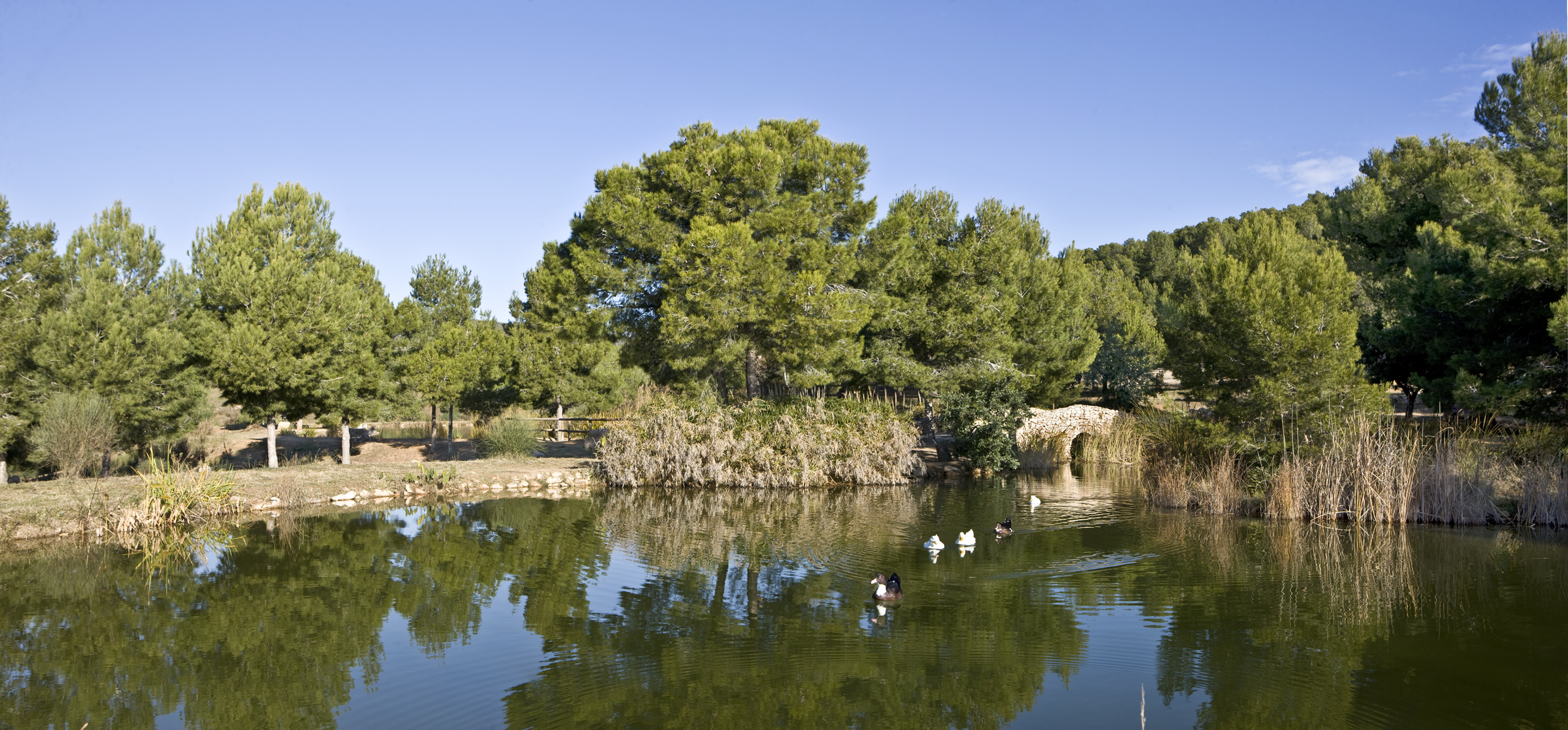 Fondo del Mata