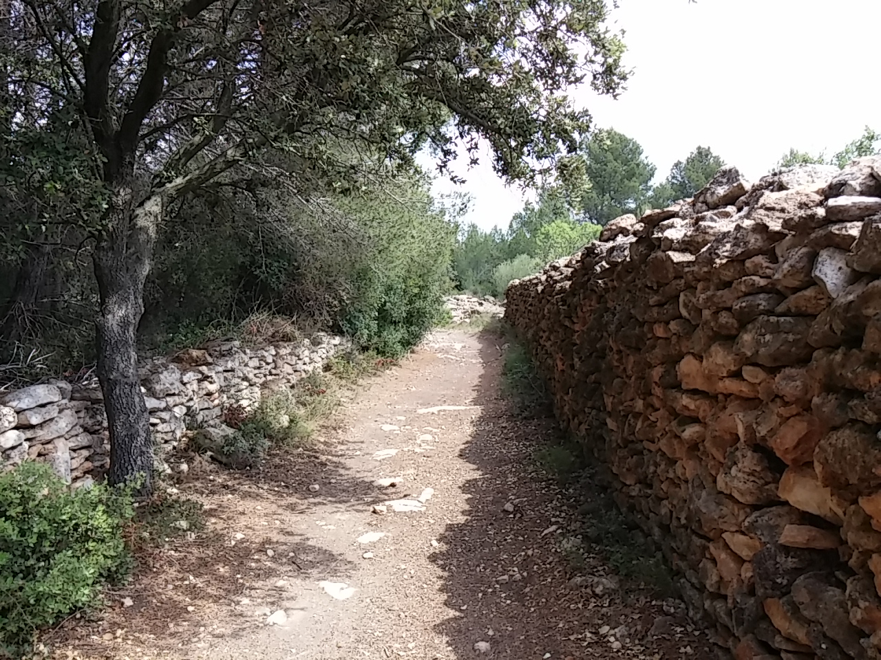 Ruta de la Capona